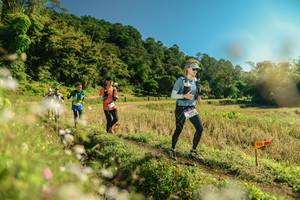 BIB: 
                            <button type="button" onclick="openModal(26679930)" class="btn btn-primary btn-sm float-right btn-popup" data-toggle="modal" data-target=".modal-high-quality">
                        <i class="fas fa-shopping-cart"></i> Add to Cart
                    </button>
                                            <button type="button" onclick="isThisMe(26679930, true)" class="btn btn-success btn-sm float-right btn-popup btn-isme hidden" data-toggle="tooltip" data-placement="bottom" title="นี่คือรูปของคุณใช่ไหม คลิกที่นี่เพื่อเอาเข้าอัลบั้ม">
                        <i class="fas fa-plus"></i> Add to album
                    </button>
                    <button type="button" onclick="isThisMe(26679930, false)" class="btn btn-warning btn-sm float-right btn-popup btn-isnotme hidden">
                        <i class="fas fa-ban"></i> Remove from album
                    </button>