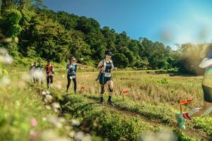 BIB: 
                            <button type="button" onclick="openModal(26679895)" class="btn btn-primary btn-sm float-right btn-popup" data-toggle="modal" data-target=".modal-high-quality">
                        <i class="fas fa-shopping-cart"></i> Add to Cart
                    </button>
                                            <button type="button" onclick="isThisMe(26679895, true)" class="btn btn-success btn-sm float-right btn-popup btn-isme hidden" data-toggle="tooltip" data-placement="bottom" title="นี่คือรูปของคุณใช่ไหม คลิกที่นี่เพื่อเอาเข้าอัลบั้ม">
                        <i class="fas fa-plus"></i> Add to album
                    </button>
                    <button type="button" onclick="isThisMe(26679895, false)" class="btn btn-warning btn-sm float-right btn-popup btn-isnotme hidden">
                        <i class="fas fa-ban"></i> Remove from album
                    </button>