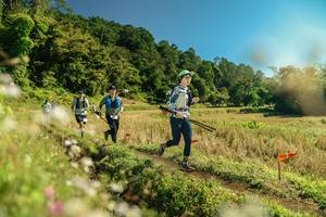 BIB: 
                            <button type="button" onclick="openModal(26689598)" class="btn btn-primary btn-sm float-right btn-popup" data-toggle="modal" data-target=".modal-high-quality">
                        <i class="fas fa-shopping-cart"></i> Add to Cart
                    </button>
                                            <button type="button" onclick="isThisMe(26689598, true)" class="btn btn-success btn-sm float-right btn-popup btn-isme hidden" data-toggle="tooltip" data-placement="bottom" title="นี่คือรูปของคุณใช่ไหม คลิกที่นี่เพื่อเอาเข้าอัลบั้ม">
                        <i class="fas fa-plus"></i> Add to album
                    </button>
                    <button type="button" onclick="isThisMe(26689598, false)" class="btn btn-warning btn-sm float-right btn-popup btn-isnotme hidden">
                        <i class="fas fa-ban"></i> Remove from album
                    </button>