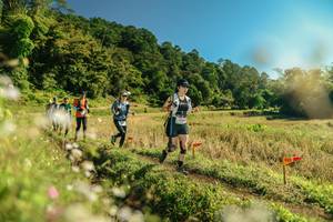 BIB: 
                            <button type="button" onclick="openModal(26679896)" class="btn btn-primary btn-sm float-right btn-popup" data-toggle="modal" data-target=".modal-high-quality">
                        <i class="fas fa-shopping-cart"></i> Add to Cart
                    </button>
                                            <button type="button" onclick="isThisMe(26679896, true)" class="btn btn-success btn-sm float-right btn-popup btn-isme hidden" data-toggle="tooltip" data-placement="bottom" title="นี่คือรูปของคุณใช่ไหม คลิกที่นี่เพื่อเอาเข้าอัลบั้ม">
                        <i class="fas fa-plus"></i> Add to album
                    </button>
                    <button type="button" onclick="isThisMe(26679896, false)" class="btn btn-warning btn-sm float-right btn-popup btn-isnotme hidden">
                        <i class="fas fa-ban"></i> Remove from album
                    </button>