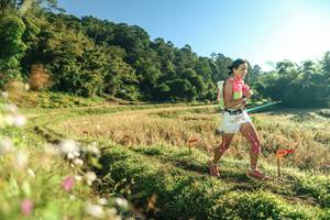 BIB: 
                            <button type="button" onclick="openModal(26632707)" class="btn btn-primary btn-sm float-right btn-popup" data-toggle="modal" data-target=".modal-high-quality">
                        <i class="fas fa-shopping-cart"></i> Add to Cart
                    </button>
                                            <button type="button" onclick="isThisMe(26632707, true)" class="btn btn-success btn-sm float-right btn-popup btn-isme hidden" data-toggle="tooltip" data-placement="bottom" title="นี่คือรูปของคุณใช่ไหม คลิกที่นี่เพื่อเอาเข้าอัลบั้ม">
                        <i class="fas fa-plus"></i> Add to album
                    </button>
                    <button type="button" onclick="isThisMe(26632707, false)" class="btn btn-warning btn-sm float-right btn-popup btn-isnotme hidden">
                        <i class="fas fa-ban"></i> Remove from album
                    </button>