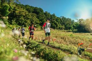 BIB: 
                            <button type="button" onclick="openModal(26638392)" class="btn btn-primary btn-sm float-right btn-popup" data-toggle="modal" data-target=".modal-high-quality">
                        <i class="fas fa-shopping-cart"></i> Add to Cart
                    </button>
                                            <button type="button" onclick="isThisMe(26638392, true)" class="btn btn-success btn-sm float-right btn-popup btn-isme hidden" data-toggle="tooltip" data-placement="bottom" title="นี่คือรูปของคุณใช่ไหม คลิกที่นี่เพื่อเอาเข้าอัลบั้ม">
                        <i class="fas fa-plus"></i> Add to album
                    </button>
                    <button type="button" onclick="isThisMe(26638392, false)" class="btn btn-warning btn-sm float-right btn-popup btn-isnotme hidden">
                        <i class="fas fa-ban"></i> Remove from album
                    </button>