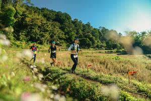 BIB: 
                            <button type="button" onclick="openModal(26636767)" class="btn btn-primary btn-sm float-right btn-popup" data-toggle="modal" data-target=".modal-high-quality">
                        <i class="fas fa-shopping-cart"></i> Add to Cart
                    </button>
                                            <button type="button" onclick="isThisMe(26636767, true)" class="btn btn-success btn-sm float-right btn-popup btn-isme hidden" data-toggle="tooltip" data-placement="bottom" title="นี่คือรูปของคุณใช่ไหม คลิกที่นี่เพื่อเอาเข้าอัลบั้ม">
                        <i class="fas fa-plus"></i> Add to album
                    </button>
                    <button type="button" onclick="isThisMe(26636767, false)" class="btn btn-warning btn-sm float-right btn-popup btn-isnotme hidden">
                        <i class="fas fa-ban"></i> Remove from album
                    </button>