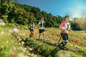 BIB: 
                            <button type="button" onclick="openModal(26638943)" class="btn btn-primary btn-sm float-right btn-popup" data-toggle="modal" data-target=".modal-high-quality">
                        <i class="fas fa-shopping-cart"></i> Add to Cart
                    </button>
                                            <button type="button" onclick="isThisMe(26638943, true)" class="btn btn-success btn-sm float-right btn-popup btn-isme hidden" data-toggle="tooltip" data-placement="bottom" title="นี่คือรูปของคุณใช่ไหม คลิกที่นี่เพื่อเอาเข้าอัลบั้ม">
                        <i class="fas fa-plus"></i> Add to album
                    </button>
                    <button type="button" onclick="isThisMe(26638943, false)" class="btn btn-warning btn-sm float-right btn-popup btn-isnotme hidden">
                        <i class="fas fa-ban"></i> Remove from album
                    </button>