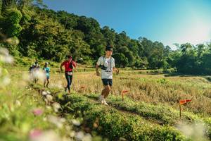 BIB: 
                            <button type="button" onclick="openModal(26637190)" class="btn btn-primary btn-sm float-right btn-popup" data-toggle="modal" data-target=".modal-high-quality">
                        <i class="fas fa-shopping-cart"></i> Add to Cart
                    </button>
                                            <button type="button" onclick="isThisMe(26637190, true)" class="btn btn-success btn-sm float-right btn-popup btn-isme hidden" data-toggle="tooltip" data-placement="bottom" title="นี่คือรูปของคุณใช่ไหม คลิกที่นี่เพื่อเอาเข้าอัลบั้ม">
                        <i class="fas fa-plus"></i> Add to album
                    </button>
                    <button type="button" onclick="isThisMe(26637190, false)" class="btn btn-warning btn-sm float-right btn-popup btn-isnotme hidden">
                        <i class="fas fa-ban"></i> Remove from album
                    </button>