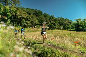 BIB: 
                            <button type="button" onclick="openModal(26733170)" class="btn btn-primary btn-sm float-right btn-popup" data-toggle="modal" data-target=".modal-high-quality">
                        <i class="fas fa-shopping-cart"></i> Add to Cart
                    </button>
                                            <button type="button" onclick="isThisMe(26733170, true)" class="btn btn-success btn-sm float-right btn-popup btn-isme hidden" data-toggle="tooltip" data-placement="bottom" title="นี่คือรูปของคุณใช่ไหม คลิกที่นี่เพื่อเอาเข้าอัลบั้ม">
                        <i class="fas fa-plus"></i> Add to album
                    </button>
                    <button type="button" onclick="isThisMe(26733170, false)" class="btn btn-warning btn-sm float-right btn-popup btn-isnotme hidden">
                        <i class="fas fa-ban"></i> Remove from album
                    </button>