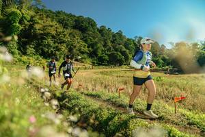 BIB: 
                            <button type="button" onclick="openModal(26681026)" class="btn btn-primary btn-sm float-right btn-popup" data-toggle="modal" data-target=".modal-high-quality">
                        <i class="fas fa-shopping-cart"></i> Add to Cart
                    </button>
                                            <button type="button" onclick="isThisMe(26681026, true)" class="btn btn-success btn-sm float-right btn-popup btn-isme hidden" data-toggle="tooltip" data-placement="bottom" title="นี่คือรูปของคุณใช่ไหม คลิกที่นี่เพื่อเอาเข้าอัลบั้ม">
                        <i class="fas fa-plus"></i> Add to album
                    </button>
                    <button type="button" onclick="isThisMe(26681026, false)" class="btn btn-warning btn-sm float-right btn-popup btn-isnotme hidden">
                        <i class="fas fa-ban"></i> Remove from album
                    </button>