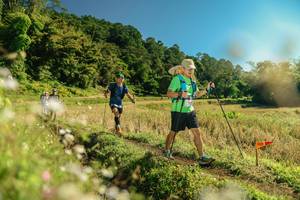 BIB: 
                            <button type="button" onclick="openModal(26684407)" class="btn btn-primary btn-sm float-right btn-popup" data-toggle="modal" data-target=".modal-high-quality">
                        <i class="fas fa-shopping-cart"></i> Add to Cart
                    </button>
                                            <button type="button" onclick="isThisMe(26684407, true)" class="btn btn-success btn-sm float-right btn-popup btn-isme hidden" data-toggle="tooltip" data-placement="bottom" title="นี่คือรูปของคุณใช่ไหม คลิกที่นี่เพื่อเอาเข้าอัลบั้ม">
                        <i class="fas fa-plus"></i> Add to album
                    </button>
                    <button type="button" onclick="isThisMe(26684407, false)" class="btn btn-warning btn-sm float-right btn-popup btn-isnotme hidden">
                        <i class="fas fa-ban"></i> Remove from album
                    </button>