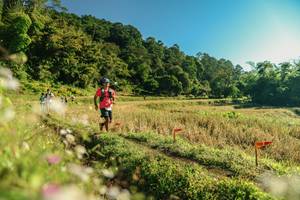 BIB: 
                            <button type="button" onclick="openModal(26637386)" class="btn btn-primary btn-sm float-right btn-popup" data-toggle="modal" data-target=".modal-high-quality">
                        <i class="fas fa-shopping-cart"></i> Add to Cart
                    </button>
                                            <button type="button" onclick="isThisMe(26637386, true)" class="btn btn-success btn-sm float-right btn-popup btn-isme hidden" data-toggle="tooltip" data-placement="bottom" title="นี่คือรูปของคุณใช่ไหม คลิกที่นี่เพื่อเอาเข้าอัลบั้ม">
                        <i class="fas fa-plus"></i> Add to album
                    </button>
                    <button type="button" onclick="isThisMe(26637386, false)" class="btn btn-warning btn-sm float-right btn-popup btn-isnotme hidden">
                        <i class="fas fa-ban"></i> Remove from album
                    </button>