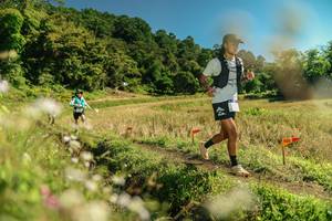 BIB: 
                            <button type="button" onclick="openModal(26699629)" class="btn btn-primary btn-sm float-right btn-popup" data-toggle="modal" data-target=".modal-high-quality">
                        <i class="fas fa-shopping-cart"></i> Add to Cart
                    </button>
                                            <button type="button" onclick="isThisMe(26699629, true)" class="btn btn-success btn-sm float-right btn-popup btn-isme hidden" data-toggle="tooltip" data-placement="bottom" title="นี่คือรูปของคุณใช่ไหม คลิกที่นี่เพื่อเอาเข้าอัลบั้ม">
                        <i class="fas fa-plus"></i> Add to album
                    </button>
                    <button type="button" onclick="isThisMe(26699629, false)" class="btn btn-warning btn-sm float-right btn-popup btn-isnotme hidden">
                        <i class="fas fa-ban"></i> Remove from album
                    </button>