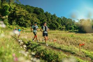 BIB: 
                            <button type="button" onclick="openModal(26691194)" class="btn btn-primary btn-sm float-right btn-popup" data-toggle="modal" data-target=".modal-high-quality">
                        <i class="fas fa-shopping-cart"></i> Add to Cart
                    </button>
                                            <button type="button" onclick="isThisMe(26691194, true)" class="btn btn-success btn-sm float-right btn-popup btn-isme hidden" data-toggle="tooltip" data-placement="bottom" title="นี่คือรูปของคุณใช่ไหม คลิกที่นี่เพื่อเอาเข้าอัลบั้ม">
                        <i class="fas fa-plus"></i> Add to album
                    </button>
                    <button type="button" onclick="isThisMe(26691194, false)" class="btn btn-warning btn-sm float-right btn-popup btn-isnotme hidden">
                        <i class="fas fa-ban"></i> Remove from album
                    </button>