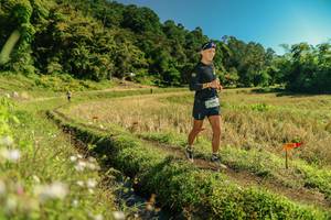 BIB: 
                            <button type="button" onclick="openModal(26697160)" class="btn btn-primary btn-sm float-right btn-popup" data-toggle="modal" data-target=".modal-high-quality">
                        <i class="fas fa-shopping-cart"></i> Add to Cart
                    </button>
                                            <button type="button" onclick="isThisMe(26697160, true)" class="btn btn-success btn-sm float-right btn-popup btn-isme hidden" data-toggle="tooltip" data-placement="bottom" title="นี่คือรูปของคุณใช่ไหม คลิกที่นี่เพื่อเอาเข้าอัลบั้ม">
                        <i class="fas fa-plus"></i> Add to album
                    </button>
                    <button type="button" onclick="isThisMe(26697160, false)" class="btn btn-warning btn-sm float-right btn-popup btn-isnotme hidden">
                        <i class="fas fa-ban"></i> Remove from album
                    </button>