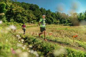 BIB: 
                            <button type="button" onclick="openModal(26699132)" class="btn btn-primary btn-sm float-right btn-popup" data-toggle="modal" data-target=".modal-high-quality">
                        <i class="fas fa-shopping-cart"></i> Add to Cart
                    </button>
                                            <button type="button" onclick="isThisMe(26699132, true)" class="btn btn-success btn-sm float-right btn-popup btn-isme hidden" data-toggle="tooltip" data-placement="bottom" title="นี่คือรูปของคุณใช่ไหม คลิกที่นี่เพื่อเอาเข้าอัลบั้ม">
                        <i class="fas fa-plus"></i> Add to album
                    </button>
                    <button type="button" onclick="isThisMe(26699132, false)" class="btn btn-warning btn-sm float-right btn-popup btn-isnotme hidden">
                        <i class="fas fa-ban"></i> Remove from album
                    </button>