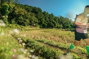 BIB: 
                            <button type="button" onclick="openModal(26674653)" class="btn btn-primary btn-sm float-right btn-popup" data-toggle="modal" data-target=".modal-high-quality">
                        <i class="fas fa-shopping-cart"></i> Add to Cart
                    </button>
                                            <button type="button" onclick="isThisMe(26674653, true)" class="btn btn-success btn-sm float-right btn-popup btn-isme hidden" data-toggle="tooltip" data-placement="bottom" title="นี่คือรูปของคุณใช่ไหม คลิกที่นี่เพื่อเอาเข้าอัลบั้ม">
                        <i class="fas fa-plus"></i> Add to album
                    </button>
                    <button type="button" onclick="isThisMe(26674653, false)" class="btn btn-warning btn-sm float-right btn-popup btn-isnotme hidden">
                        <i class="fas fa-ban"></i> Remove from album
                    </button>