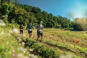 BIB: 
                            <button type="button" onclick="openModal(26686515)" class="btn btn-primary btn-sm float-right btn-popup" data-toggle="modal" data-target=".modal-high-quality">
                        <i class="fas fa-shopping-cart"></i> Add to Cart
                    </button>
                                            <button type="button" onclick="isThisMe(26686515, true)" class="btn btn-success btn-sm float-right btn-popup btn-isme hidden" data-toggle="tooltip" data-placement="bottom" title="นี่คือรูปของคุณใช่ไหม คลิกที่นี่เพื่อเอาเข้าอัลบั้ม">
                        <i class="fas fa-plus"></i> Add to album
                    </button>
                    <button type="button" onclick="isThisMe(26686515, false)" class="btn btn-warning btn-sm float-right btn-popup btn-isnotme hidden">
                        <i class="fas fa-ban"></i> Remove from album
                    </button>