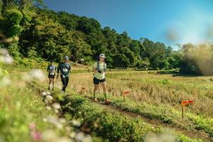 BIB: 
                            <button type="button" onclick="openModal(26690566)" class="btn btn-primary btn-sm float-right btn-popup" data-toggle="modal" data-target=".modal-high-quality">
                        <i class="fas fa-shopping-cart"></i> Add to Cart
                    </button>
                                            <button type="button" onclick="isThisMe(26690566, true)" class="btn btn-success btn-sm float-right btn-popup btn-isme hidden" data-toggle="tooltip" data-placement="bottom" title="นี่คือรูปของคุณใช่ไหม คลิกที่นี่เพื่อเอาเข้าอัลบั้ม">
                        <i class="fas fa-plus"></i> Add to album
                    </button>
                    <button type="button" onclick="isThisMe(26690566, false)" class="btn btn-warning btn-sm float-right btn-popup btn-isnotme hidden">
                        <i class="fas fa-ban"></i> Remove from album
                    </button>