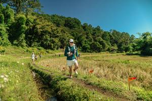 BIB: 
                            <button type="button" onclick="openModal(26714518)" class="btn btn-primary btn-sm float-right btn-popup" data-toggle="modal" data-target=".modal-high-quality">
                        <i class="fas fa-shopping-cart"></i> Add to Cart
                    </button>
                                            <button type="button" onclick="isThisMe(26714518, true)" class="btn btn-success btn-sm float-right btn-popup btn-isme hidden" data-toggle="tooltip" data-placement="bottom" title="นี่คือรูปของคุณใช่ไหม คลิกที่นี่เพื่อเอาเข้าอัลบั้ม">
                        <i class="fas fa-plus"></i> Add to album
                    </button>
                    <button type="button" onclick="isThisMe(26714518, false)" class="btn btn-warning btn-sm float-right btn-popup btn-isnotme hidden">
                        <i class="fas fa-ban"></i> Remove from album
                    </button>