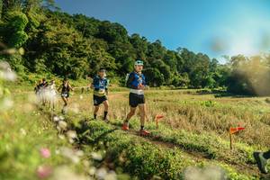 BIB: 
                            <button type="button" onclick="openModal(26638974)" class="btn btn-primary btn-sm float-right btn-popup" data-toggle="modal" data-target=".modal-high-quality">
                        <i class="fas fa-shopping-cart"></i> Add to Cart
                    </button>
                                            <button type="button" onclick="isThisMe(26638974, true)" class="btn btn-success btn-sm float-right btn-popup btn-isme hidden" data-toggle="tooltip" data-placement="bottom" title="นี่คือรูปของคุณใช่ไหม คลิกที่นี่เพื่อเอาเข้าอัลบั้ม">
                        <i class="fas fa-plus"></i> Add to album
                    </button>
                    <button type="button" onclick="isThisMe(26638974, false)" class="btn btn-warning btn-sm float-right btn-popup btn-isnotme hidden">
                        <i class="fas fa-ban"></i> Remove from album
                    </button>