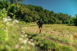 BIB: 
                            <button type="button" onclick="openModal(26734088)" class="btn btn-primary btn-sm float-right btn-popup" data-toggle="modal" data-target=".modal-high-quality">
                        <i class="fas fa-shopping-cart"></i> Add to Cart
                    </button>
                                            <button type="button" onclick="isThisMe(26734088, true)" class="btn btn-success btn-sm float-right btn-popup btn-isme hidden" data-toggle="tooltip" data-placement="bottom" title="นี่คือรูปของคุณใช่ไหม คลิกที่นี่เพื่อเอาเข้าอัลบั้ม">
                        <i class="fas fa-plus"></i> Add to album
                    </button>
                    <button type="button" onclick="isThisMe(26734088, false)" class="btn btn-warning btn-sm float-right btn-popup btn-isnotme hidden">
                        <i class="fas fa-ban"></i> Remove from album
                    </button>