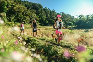 BIB: 
                            <button type="button" onclick="openModal(26633952)" class="btn btn-primary btn-sm float-right btn-popup" data-toggle="modal" data-target=".modal-high-quality">
                        <i class="fas fa-shopping-cart"></i> Add to Cart
                    </button>
                                            <button type="button" onclick="isThisMe(26633952, true)" class="btn btn-success btn-sm float-right btn-popup btn-isme hidden" data-toggle="tooltip" data-placement="bottom" title="นี่คือรูปของคุณใช่ไหม คลิกที่นี่เพื่อเอาเข้าอัลบั้ม">
                        <i class="fas fa-plus"></i> Add to album
                    </button>
                    <button type="button" onclick="isThisMe(26633952, false)" class="btn btn-warning btn-sm float-right btn-popup btn-isnotme hidden">
                        <i class="fas fa-ban"></i> Remove from album
                    </button>