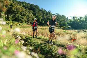 BIB: 
                            <button type="button" onclick="openModal(26633484)" class="btn btn-primary btn-sm float-right btn-popup" data-toggle="modal" data-target=".modal-high-quality">
                        <i class="fas fa-shopping-cart"></i> Add to Cart
                    </button>
                                            <button type="button" onclick="isThisMe(26633484, true)" class="btn btn-success btn-sm float-right btn-popup btn-isme hidden" data-toggle="tooltip" data-placement="bottom" title="นี่คือรูปของคุณใช่ไหม คลิกที่นี่เพื่อเอาเข้าอัลบั้ม">
                        <i class="fas fa-plus"></i> Add to album
                    </button>
                    <button type="button" onclick="isThisMe(26633484, false)" class="btn btn-warning btn-sm float-right btn-popup btn-isnotme hidden">
                        <i class="fas fa-ban"></i> Remove from album
                    </button>