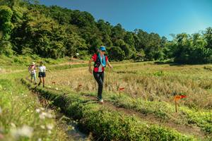 BIB: 
                            <button type="button" onclick="openModal(26702509)" class="btn btn-primary btn-sm float-right btn-popup" data-toggle="modal" data-target=".modal-high-quality">
                        <i class="fas fa-shopping-cart"></i> Add to Cart
                    </button>
                                            <button type="button" onclick="isThisMe(26702509, true)" class="btn btn-success btn-sm float-right btn-popup btn-isme hidden" data-toggle="tooltip" data-placement="bottom" title="นี่คือรูปของคุณใช่ไหม คลิกที่นี่เพื่อเอาเข้าอัลบั้ม">
                        <i class="fas fa-plus"></i> Add to album
                    </button>
                    <button type="button" onclick="isThisMe(26702509, false)" class="btn btn-warning btn-sm float-right btn-popup btn-isnotme hidden">
                        <i class="fas fa-ban"></i> Remove from album
                    </button>