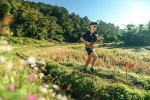 BIB: 
                            <button type="button" onclick="openModal(26632492)" class="btn btn-primary btn-sm float-right btn-popup" data-toggle="modal" data-target=".modal-high-quality">
                        <i class="fas fa-shopping-cart"></i> Add to Cart
                    </button>
                                            <button type="button" onclick="isThisMe(26632492, true)" class="btn btn-success btn-sm float-right btn-popup btn-isme hidden" data-toggle="tooltip" data-placement="bottom" title="นี่คือรูปของคุณใช่ไหม คลิกที่นี่เพื่อเอาเข้าอัลบั้ม">
                        <i class="fas fa-plus"></i> Add to album
                    </button>
                    <button type="button" onclick="isThisMe(26632492, false)" class="btn btn-warning btn-sm float-right btn-popup btn-isnotme hidden">
                        <i class="fas fa-ban"></i> Remove from album
                    </button>