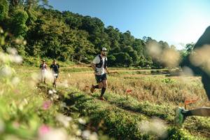 BIB: 
                            <button type="button" onclick="openModal(26635306)" class="btn btn-primary btn-sm float-right btn-popup" data-toggle="modal" data-target=".modal-high-quality">
                        <i class="fas fa-shopping-cart"></i> Add to Cart
                    </button>
                                            <button type="button" onclick="isThisMe(26635306, true)" class="btn btn-success btn-sm float-right btn-popup btn-isme hidden" data-toggle="tooltip" data-placement="bottom" title="นี่คือรูปของคุณใช่ไหม คลิกที่นี่เพื่อเอาเข้าอัลบั้ม">
                        <i class="fas fa-plus"></i> Add to album
                    </button>
                    <button type="button" onclick="isThisMe(26635306, false)" class="btn btn-warning btn-sm float-right btn-popup btn-isnotme hidden">
                        <i class="fas fa-ban"></i> Remove from album
                    </button>