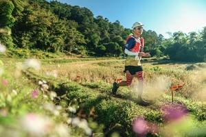 BIB: 
                            <button type="button" onclick="openModal(26634171)" class="btn btn-primary btn-sm float-right btn-popup" data-toggle="modal" data-target=".modal-high-quality">
                        <i class="fas fa-shopping-cart"></i> Add to Cart
                    </button>
                                            <button type="button" onclick="isThisMe(26634171, true)" class="btn btn-success btn-sm float-right btn-popup btn-isme hidden" data-toggle="tooltip" data-placement="bottom" title="นี่คือรูปของคุณใช่ไหม คลิกที่นี่เพื่อเอาเข้าอัลบั้ม">
                        <i class="fas fa-plus"></i> Add to album
                    </button>
                    <button type="button" onclick="isThisMe(26634171, false)" class="btn btn-warning btn-sm float-right btn-popup btn-isnotme hidden">
                        <i class="fas fa-ban"></i> Remove from album
                    </button>