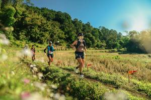 BIB: 
                            <button type="button" onclick="openModal(26637868)" class="btn btn-primary btn-sm float-right btn-popup" data-toggle="modal" data-target=".modal-high-quality">
                        <i class="fas fa-shopping-cart"></i> Add to Cart
                    </button>
                                            <button type="button" onclick="isThisMe(26637868, true)" class="btn btn-success btn-sm float-right btn-popup btn-isme hidden" data-toggle="tooltip" data-placement="bottom" title="นี่คือรูปของคุณใช่ไหม คลิกที่นี่เพื่อเอาเข้าอัลบั้ม">
                        <i class="fas fa-plus"></i> Add to album
                    </button>
                    <button type="button" onclick="isThisMe(26637868, false)" class="btn btn-warning btn-sm float-right btn-popup btn-isnotme hidden">
                        <i class="fas fa-ban"></i> Remove from album
                    </button>