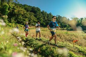 BIB: 
                            <button type="button" onclick="openModal(26636896)" class="btn btn-primary btn-sm float-right btn-popup" data-toggle="modal" data-target=".modal-high-quality">
                        <i class="fas fa-shopping-cart"></i> Add to Cart
                    </button>
                                            <button type="button" onclick="isThisMe(26636896, true)" class="btn btn-success btn-sm float-right btn-popup btn-isme hidden" data-toggle="tooltip" data-placement="bottom" title="นี่คือรูปของคุณใช่ไหม คลิกที่นี่เพื่อเอาเข้าอัลบั้ม">
                        <i class="fas fa-plus"></i> Add to album
                    </button>
                    <button type="button" onclick="isThisMe(26636896, false)" class="btn btn-warning btn-sm float-right btn-popup btn-isnotme hidden">
                        <i class="fas fa-ban"></i> Remove from album
                    </button>