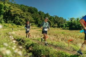 BIB: 
                            <button type="button" onclick="openModal(26721975)" class="btn btn-primary btn-sm float-right btn-popup" data-toggle="modal" data-target=".modal-high-quality">
                        <i class="fas fa-shopping-cart"></i> Add to Cart
                    </button>
                                            <button type="button" onclick="isThisMe(26721975, true)" class="btn btn-success btn-sm float-right btn-popup btn-isme hidden" data-toggle="tooltip" data-placement="bottom" title="นี่คือรูปของคุณใช่ไหม คลิกที่นี่เพื่อเอาเข้าอัลบั้ม">
                        <i class="fas fa-plus"></i> Add to album
                    </button>
                    <button type="button" onclick="isThisMe(26721975, false)" class="btn btn-warning btn-sm float-right btn-popup btn-isnotme hidden">
                        <i class="fas fa-ban"></i> Remove from album
                    </button>