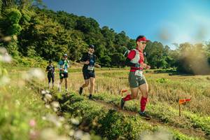 BIB: 
                            <button type="button" onclick="openModal(26683379)" class="btn btn-primary btn-sm float-right btn-popup" data-toggle="modal" data-target=".modal-high-quality">
                        <i class="fas fa-shopping-cart"></i> Add to Cart
                    </button>
                                            <button type="button" onclick="isThisMe(26683379, true)" class="btn btn-success btn-sm float-right btn-popup btn-isme hidden" data-toggle="tooltip" data-placement="bottom" title="นี่คือรูปของคุณใช่ไหม คลิกที่นี่เพื่อเอาเข้าอัลบั้ม">
                        <i class="fas fa-plus"></i> Add to album
                    </button>
                    <button type="button" onclick="isThisMe(26683379, false)" class="btn btn-warning btn-sm float-right btn-popup btn-isnotme hidden">
                        <i class="fas fa-ban"></i> Remove from album
                    </button>