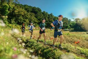 BIB: 
                            <button type="button" onclick="openModal(26638314)" class="btn btn-primary btn-sm float-right btn-popup" data-toggle="modal" data-target=".modal-high-quality">
                        <i class="fas fa-shopping-cart"></i> Add to Cart
                    </button>
                                            <button type="button" onclick="isThisMe(26638314, true)" class="btn btn-success btn-sm float-right btn-popup btn-isme hidden" data-toggle="tooltip" data-placement="bottom" title="นี่คือรูปของคุณใช่ไหม คลิกที่นี่เพื่อเอาเข้าอัลบั้ม">
                        <i class="fas fa-plus"></i> Add to album
                    </button>
                    <button type="button" onclick="isThisMe(26638314, false)" class="btn btn-warning btn-sm float-right btn-popup btn-isnotme hidden">
                        <i class="fas fa-ban"></i> Remove from album
                    </button>