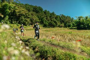 BIB: 
                            <button type="button" onclick="openModal(26724643)" class="btn btn-primary btn-sm float-right btn-popup" data-toggle="modal" data-target=".modal-high-quality">
                        <i class="fas fa-shopping-cart"></i> Add to Cart
                    </button>
                                            <button type="button" onclick="isThisMe(26724643, true)" class="btn btn-success btn-sm float-right btn-popup btn-isme hidden" data-toggle="tooltip" data-placement="bottom" title="นี่คือรูปของคุณใช่ไหม คลิกที่นี่เพื่อเอาเข้าอัลบั้ม">
                        <i class="fas fa-plus"></i> Add to album
                    </button>
                    <button type="button" onclick="isThisMe(26724643, false)" class="btn btn-warning btn-sm float-right btn-popup btn-isnotme hidden">
                        <i class="fas fa-ban"></i> Remove from album
                    </button>