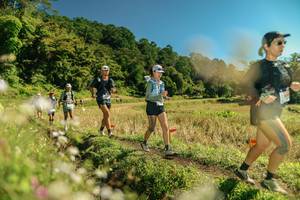 BIB: 
                            <button type="button" onclick="openModal(26700449)" class="btn btn-primary btn-sm float-right btn-popup" data-toggle="modal" data-target=".modal-high-quality">
                        <i class="fas fa-shopping-cart"></i> Add to Cart
                    </button>
                                            <button type="button" onclick="isThisMe(26700449, true)" class="btn btn-success btn-sm float-right btn-popup btn-isme hidden" data-toggle="tooltip" data-placement="bottom" title="นี่คือรูปของคุณใช่ไหม คลิกที่นี่เพื่อเอาเข้าอัลบั้ม">
                        <i class="fas fa-plus"></i> Add to album
                    </button>
                    <button type="button" onclick="isThisMe(26700449, false)" class="btn btn-warning btn-sm float-right btn-popup btn-isnotme hidden">
                        <i class="fas fa-ban"></i> Remove from album
                    </button>