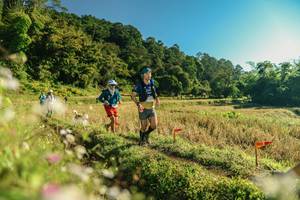 BIB: 
                            <button type="button" onclick="openModal(26637204)" class="btn btn-primary btn-sm float-right btn-popup" data-toggle="modal" data-target=".modal-high-quality">
                        <i class="fas fa-shopping-cart"></i> Add to Cart
                    </button>
                                            <button type="button" onclick="isThisMe(26637204, true)" class="btn btn-success btn-sm float-right btn-popup btn-isme hidden" data-toggle="tooltip" data-placement="bottom" title="นี่คือรูปของคุณใช่ไหม คลิกที่นี่เพื่อเอาเข้าอัลบั้ม">
                        <i class="fas fa-plus"></i> Add to album
                    </button>
                    <button type="button" onclick="isThisMe(26637204, false)" class="btn btn-warning btn-sm float-right btn-popup btn-isnotme hidden">
                        <i class="fas fa-ban"></i> Remove from album
                    </button>