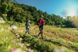 BIB: 
                            <button type="button" onclick="openModal(26637744)" class="btn btn-primary btn-sm float-right btn-popup" data-toggle="modal" data-target=".modal-high-quality">
                        <i class="fas fa-shopping-cart"></i> Add to Cart
                    </button>
                                            <button type="button" onclick="isThisMe(26637744, true)" class="btn btn-success btn-sm float-right btn-popup btn-isme hidden" data-toggle="tooltip" data-placement="bottom" title="นี่คือรูปของคุณใช่ไหม คลิกที่นี่เพื่อเอาเข้าอัลบั้ม">
                        <i class="fas fa-plus"></i> Add to album
                    </button>
                    <button type="button" onclick="isThisMe(26637744, false)" class="btn btn-warning btn-sm float-right btn-popup btn-isnotme hidden">
                        <i class="fas fa-ban"></i> Remove from album
                    </button>