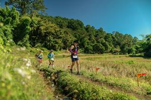 BIB: 
                            <button type="button" onclick="openModal(26717181)" class="btn btn-primary btn-sm float-right btn-popup" data-toggle="modal" data-target=".modal-high-quality">
                        <i class="fas fa-shopping-cart"></i> Add to Cart
                    </button>
                                            <button type="button" onclick="isThisMe(26717181, true)" class="btn btn-success btn-sm float-right btn-popup btn-isme hidden" data-toggle="tooltip" data-placement="bottom" title="นี่คือรูปของคุณใช่ไหม คลิกที่นี่เพื่อเอาเข้าอัลบั้ม">
                        <i class="fas fa-plus"></i> Add to album
                    </button>
                    <button type="button" onclick="isThisMe(26717181, false)" class="btn btn-warning btn-sm float-right btn-popup btn-isnotme hidden">
                        <i class="fas fa-ban"></i> Remove from album
                    </button>