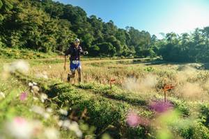 BIB: 
                            <button type="button" onclick="openModal(26633910)" class="btn btn-primary btn-sm float-right btn-popup" data-toggle="modal" data-target=".modal-high-quality">
                        <i class="fas fa-shopping-cart"></i> Add to Cart
                    </button>
                                            <button type="button" onclick="isThisMe(26633910, true)" class="btn btn-success btn-sm float-right btn-popup btn-isme hidden" data-toggle="tooltip" data-placement="bottom" title="นี่คือรูปของคุณใช่ไหม คลิกที่นี่เพื่อเอาเข้าอัลบั้ม">
                        <i class="fas fa-plus"></i> Add to album
                    </button>
                    <button type="button" onclick="isThisMe(26633910, false)" class="btn btn-warning btn-sm float-right btn-popup btn-isnotme hidden">
                        <i class="fas fa-ban"></i> Remove from album
                    </button>