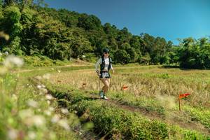 BIB: 
                            <button type="button" onclick="openModal(26725746)" class="btn btn-primary btn-sm float-right btn-popup" data-toggle="modal" data-target=".modal-high-quality">
                        <i class="fas fa-shopping-cart"></i> Add to Cart
                    </button>
                                            <button type="button" onclick="isThisMe(26725746, true)" class="btn btn-success btn-sm float-right btn-popup btn-isme hidden" data-toggle="tooltip" data-placement="bottom" title="นี่คือรูปของคุณใช่ไหม คลิกที่นี่เพื่อเอาเข้าอัลบั้ม">
                        <i class="fas fa-plus"></i> Add to album
                    </button>
                    <button type="button" onclick="isThisMe(26725746, false)" class="btn btn-warning btn-sm float-right btn-popup btn-isnotme hidden">
                        <i class="fas fa-ban"></i> Remove from album
                    </button>