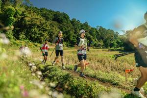 BIB: 
                            <button type="button" onclick="openModal(26691936)" class="btn btn-primary btn-sm float-right btn-popup" data-toggle="modal" data-target=".modal-high-quality">
                        <i class="fas fa-shopping-cart"></i> Add to Cart
                    </button>
                                            <button type="button" onclick="isThisMe(26691936, true)" class="btn btn-success btn-sm float-right btn-popup btn-isme hidden" data-toggle="tooltip" data-placement="bottom" title="นี่คือรูปของคุณใช่ไหม คลิกที่นี่เพื่อเอาเข้าอัลบั้ม">
                        <i class="fas fa-plus"></i> Add to album
                    </button>
                    <button type="button" onclick="isThisMe(26691936, false)" class="btn btn-warning btn-sm float-right btn-popup btn-isnotme hidden">
                        <i class="fas fa-ban"></i> Remove from album
                    </button>