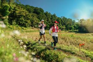 BIB: 
                            <button type="button" onclick="openModal(26688032)" class="btn btn-primary btn-sm float-right btn-popup" data-toggle="modal" data-target=".modal-high-quality">
                        <i class="fas fa-shopping-cart"></i> Add to Cart
                    </button>
                                            <button type="button" onclick="isThisMe(26688032, true)" class="btn btn-success btn-sm float-right btn-popup btn-isme hidden" data-toggle="tooltip" data-placement="bottom" title="นี่คือรูปของคุณใช่ไหม คลิกที่นี่เพื่อเอาเข้าอัลบั้ม">
                        <i class="fas fa-plus"></i> Add to album
                    </button>
                    <button type="button" onclick="isThisMe(26688032, false)" class="btn btn-warning btn-sm float-right btn-popup btn-isnotme hidden">
                        <i class="fas fa-ban"></i> Remove from album
                    </button>