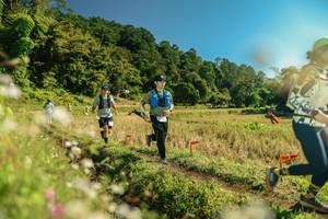 BIB: 
                            <button type="button" onclick="openModal(26689599)" class="btn btn-primary btn-sm float-right btn-popup" data-toggle="modal" data-target=".modal-high-quality">
                        <i class="fas fa-shopping-cart"></i> Add to Cart
                    </button>
                                            <button type="button" onclick="isThisMe(26689599, true)" class="btn btn-success btn-sm float-right btn-popup btn-isme hidden" data-toggle="tooltip" data-placement="bottom" title="นี่คือรูปของคุณใช่ไหม คลิกที่นี่เพื่อเอาเข้าอัลบั้ม">
                        <i class="fas fa-plus"></i> Add to album
                    </button>
                    <button type="button" onclick="isThisMe(26689599, false)" class="btn btn-warning btn-sm float-right btn-popup btn-isnotme hidden">
                        <i class="fas fa-ban"></i> Remove from album
                    </button>