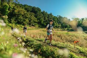 BIB: 
                            <button type="button" onclick="openModal(26636786)" class="btn btn-primary btn-sm float-right btn-popup" data-toggle="modal" data-target=".modal-high-quality">
                        <i class="fas fa-shopping-cart"></i> Add to Cart
                    </button>
                                            <button type="button" onclick="isThisMe(26636786, true)" class="btn btn-success btn-sm float-right btn-popup btn-isme hidden" data-toggle="tooltip" data-placement="bottom" title="นี่คือรูปของคุณใช่ไหม คลิกที่นี่เพื่อเอาเข้าอัลบั้ม">
                        <i class="fas fa-plus"></i> Add to album
                    </button>
                    <button type="button" onclick="isThisMe(26636786, false)" class="btn btn-warning btn-sm float-right btn-popup btn-isnotme hidden">
                        <i class="fas fa-ban"></i> Remove from album
                    </button>