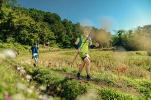 BIB: 
                            <button type="button" onclick="openModal(26700919)" class="btn btn-primary btn-sm float-right btn-popup" data-toggle="modal" data-target=".modal-high-quality">
                        <i class="fas fa-shopping-cart"></i> Add to Cart
                    </button>
                                            <button type="button" onclick="isThisMe(26700919, true)" class="btn btn-success btn-sm float-right btn-popup btn-isme hidden" data-toggle="tooltip" data-placement="bottom" title="นี่คือรูปของคุณใช่ไหม คลิกที่นี่เพื่อเอาเข้าอัลบั้ม">
                        <i class="fas fa-plus"></i> Add to album
                    </button>
                    <button type="button" onclick="isThisMe(26700919, false)" class="btn btn-warning btn-sm float-right btn-popup btn-isnotme hidden">
                        <i class="fas fa-ban"></i> Remove from album
                    </button>