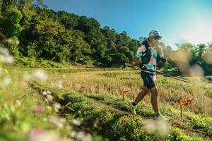 BIB: 
                            <button type="button" onclick="openModal(26636644)" class="btn btn-primary btn-sm float-right btn-popup" data-toggle="modal" data-target=".modal-high-quality">
                        <i class="fas fa-shopping-cart"></i> Add to Cart
                    </button>
                                            <button type="button" onclick="isThisMe(26636644, true)" class="btn btn-success btn-sm float-right btn-popup btn-isme hidden" data-toggle="tooltip" data-placement="bottom" title="นี่คือรูปของคุณใช่ไหม คลิกที่นี่เพื่อเอาเข้าอัลบั้ม">
                        <i class="fas fa-plus"></i> Add to album
                    </button>
                    <button type="button" onclick="isThisMe(26636644, false)" class="btn btn-warning btn-sm float-right btn-popup btn-isnotme hidden">
                        <i class="fas fa-ban"></i> Remove from album
                    </button>