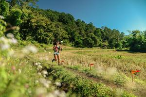 BIB: 
                            <button type="button" onclick="openModal(26710834)" class="btn btn-primary btn-sm float-right btn-popup" data-toggle="modal" data-target=".modal-high-quality">
                        <i class="fas fa-shopping-cart"></i> Add to Cart
                    </button>
                                            <button type="button" onclick="isThisMe(26710834, true)" class="btn btn-success btn-sm float-right btn-popup btn-isme hidden" data-toggle="tooltip" data-placement="bottom" title="นี่คือรูปของคุณใช่ไหม คลิกที่นี่เพื่อเอาเข้าอัลบั้ม">
                        <i class="fas fa-plus"></i> Add to album
                    </button>
                    <button type="button" onclick="isThisMe(26710834, false)" class="btn btn-warning btn-sm float-right btn-popup btn-isnotme hidden">
                        <i class="fas fa-ban"></i> Remove from album
                    </button>