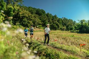 BIB: 
                            <button type="button" onclick="openModal(26703315)" class="btn btn-primary btn-sm float-right btn-popup" data-toggle="modal" data-target=".modal-high-quality">
                        <i class="fas fa-shopping-cart"></i> Add to Cart
                    </button>
                                            <button type="button" onclick="isThisMe(26703315, true)" class="btn btn-success btn-sm float-right btn-popup btn-isme hidden" data-toggle="tooltip" data-placement="bottom" title="นี่คือรูปของคุณใช่ไหม คลิกที่นี่เพื่อเอาเข้าอัลบั้ม">
                        <i class="fas fa-plus"></i> Add to album
                    </button>
                    <button type="button" onclick="isThisMe(26703315, false)" class="btn btn-warning btn-sm float-right btn-popup btn-isnotme hidden">
                        <i class="fas fa-ban"></i> Remove from album
                    </button>