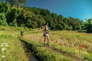 BIB: 
                            <button type="button" onclick="openModal(26715343)" class="btn btn-primary btn-sm float-right btn-popup" data-toggle="modal" data-target=".modal-high-quality">
                        <i class="fas fa-shopping-cart"></i> Add to Cart
                    </button>
                                            <button type="button" onclick="isThisMe(26715343, true)" class="btn btn-success btn-sm float-right btn-popup btn-isme hidden" data-toggle="tooltip" data-placement="bottom" title="นี่คือรูปของคุณใช่ไหม คลิกที่นี่เพื่อเอาเข้าอัลบั้ม">
                        <i class="fas fa-plus"></i> Add to album
                    </button>
                    <button type="button" onclick="isThisMe(26715343, false)" class="btn btn-warning btn-sm float-right btn-popup btn-isnotme hidden">
                        <i class="fas fa-ban"></i> Remove from album
                    </button>